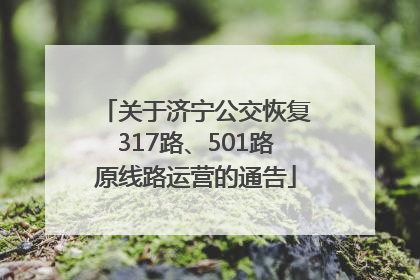 关于济宁公交恢复317路、501路原线路运营的通告