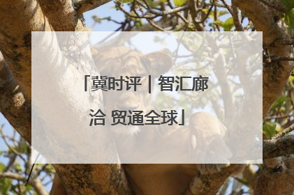 冀时评｜智汇廊洽 贸通全球