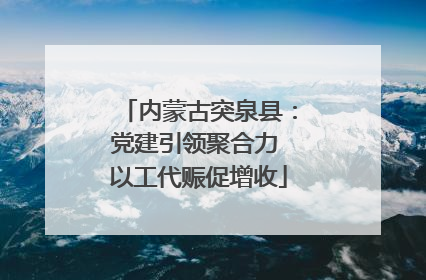 内蒙古突泉县：党建引领聚合力 以工代赈促增收