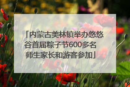 内蒙古美林镇举办悠悠谷首届粽子节600多名师生家长和游客参加