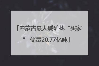 内蒙古最大碱矿找“买家” 储量20.77亿吨