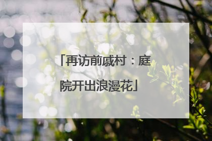 再访前戚村：庭院开出浪漫花