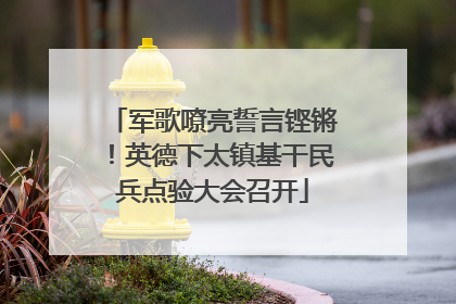 军歌嘹亮誓言铿锵！英德下太镇基干民兵点验大会召开