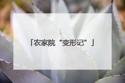 农家院“变形记”