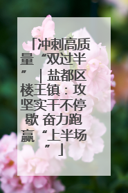 冲刺高质量“双过半”｜盐都区楼王镇：攻坚实干不停歇 奋力跑赢“上半场”