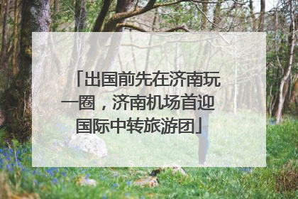 出国前先在济南玩一圈，济南机场首迎国际中转旅游团