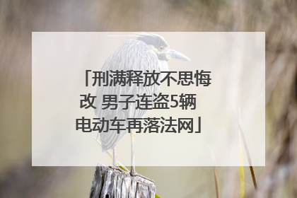 刑满释放不思悔改 男子连盗5辆电动车再落法网