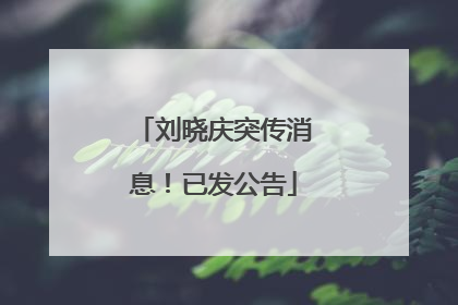 刘晓庆突传消息！已发公告