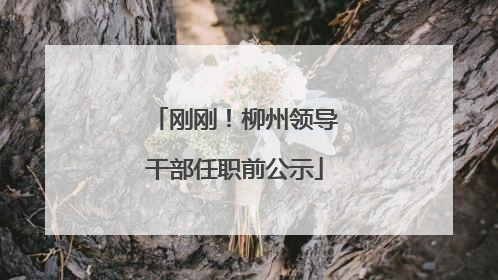 刚刚！柳州领导干部任职前公示