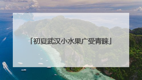 初夏武汉小水果广受青睐