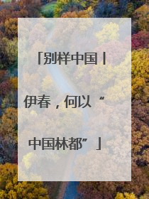 别样中国丨伊春，何以“中国林都”