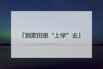 到麦田里“上学”去