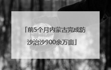 前5个月内蒙古完成防沙治沙900余万亩
