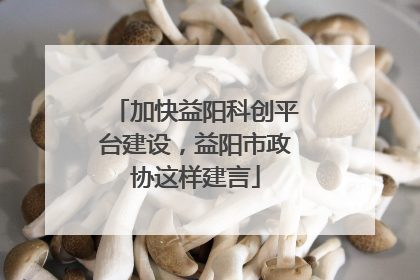 加快益阳科创平台建设，益阳市政协这样建言
