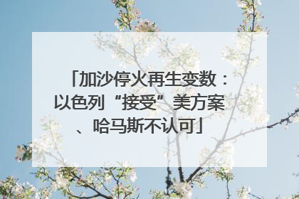 加沙停火再生变数：以色列“接受”美方案、哈马斯不认可