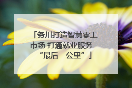 务川打造智慧零工市场 打通就业服务“最后一公里”