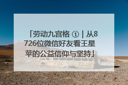 劳动九宫格 ①｜从8726位微信好友看王星苹的公益信仰与坚持