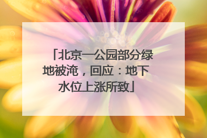 北京一公园部分绿地被淹，回应：地下水位上涨所致