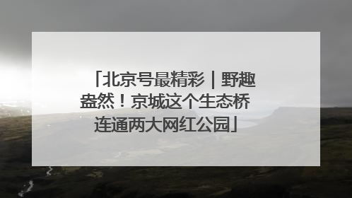 北京号最精彩｜野趣盎然！京城这个生态桥连通两大网红公园