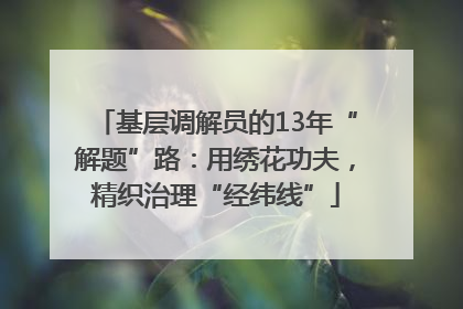 基层调解员的13年“解题”路：用绣花功夫，精织治理“经纬线”