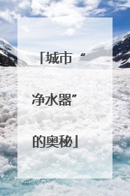 城市“净水器”的奥秘