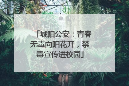 城阳公安：青春无毒向阳花开，禁毒宣传进校园