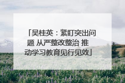 吴桂英：紧盯突出问题 从严整改整治 推动学习教育见行见效