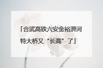合武高铁六安金裕淠河特大桥又“长高”了