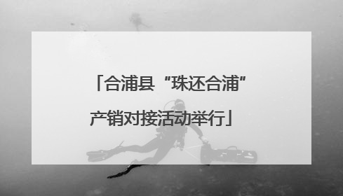 合浦县“珠还合浦”产销对接活动举行
