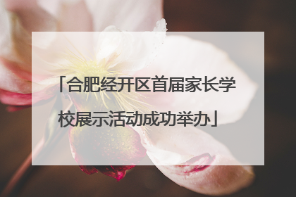 合肥经开区首届家长学校展示活动成功举办