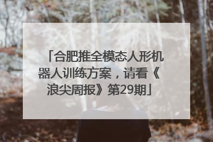 合肥推全模态人形机器人训练方案，请看《浪尖周报》第29期