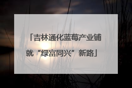吉林通化蓝莓产业铺就“绿富同兴”新路