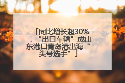 同比增长超30%，“出口车辆”成山东港口青岛港出海“头号选手”
