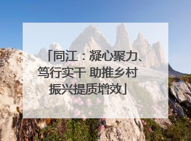 同江：凝心聚力、笃行实干 助推乡村振兴提质增效