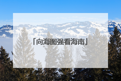 向海图强看海南
