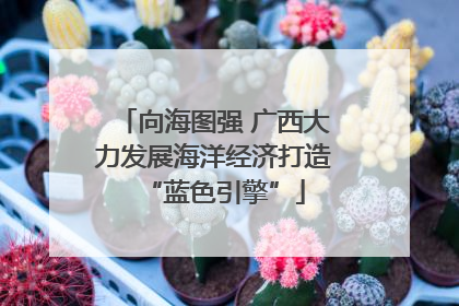 向海图强 广西大力发展海洋经济打造“蓝色引擎”