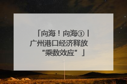 向海！向海③丨广州港口经济释放“乘数效应”
