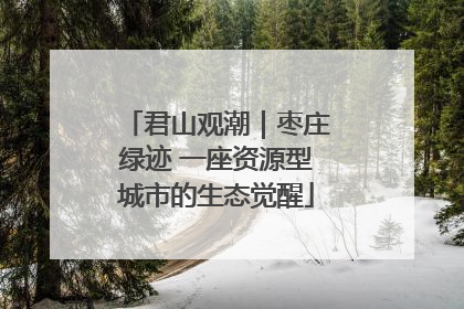 君山观潮｜枣庄绿迹 一座资源型城市的生态觉醒