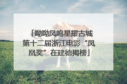 呦呦凤鸣星耀古城 第十二届浙江电影“凤凰奖”在建德揭榜