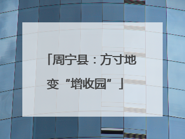 周宁县：方寸地变“增收园”