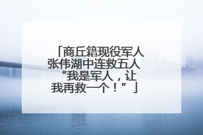商丘籍现役军人张伟湖中连救五人 “我是军人，让我再救一个！”