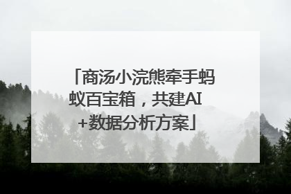 商汤小浣熊牵手蚂蚁百宝箱，共建AI+数据分析方案