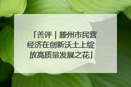 善评｜滕州市民营经济在创新沃土上绽放高质量发展之花