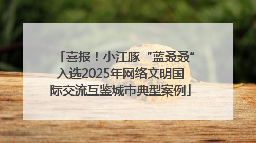 喜报！小江豚“蓝叒叒”入选2025年网络文明国际交流互鉴城市典型案例