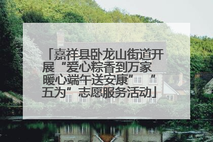 嘉祥县卧龙山街道开展“爱心粽香到万家 暖心端午送安康” “五为”志愿服务活动