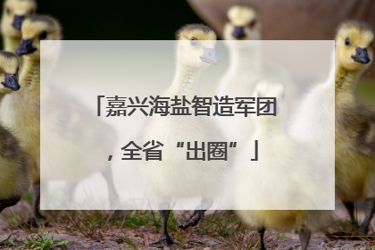 嘉兴海盐智造军团，全省“出圈”