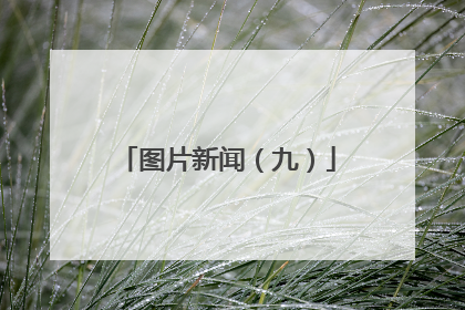 图片新闻（九）