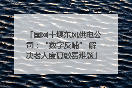 国网十堰东风供电公司：“数字反哺” 解决老人度夏缴费难题