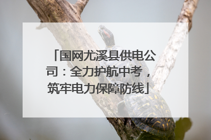 国网尤溪县供电公司：全力护航中考，筑牢电力保障防线