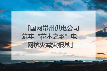 国网常州供电公司筑牢“花木之乡”电网抗灾减灾根基
